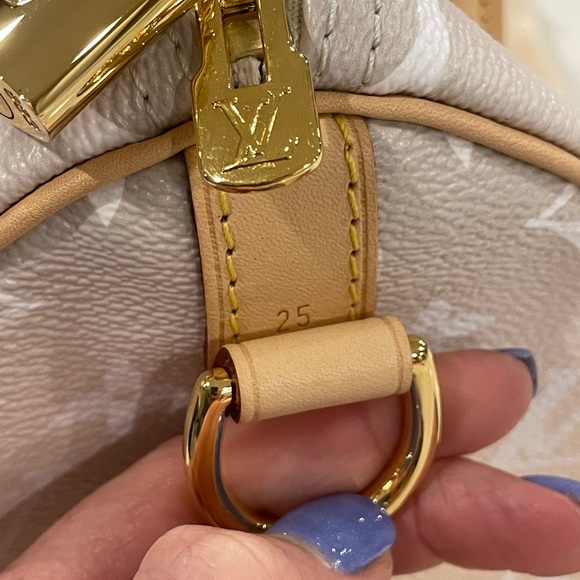 Brand new never carried Louis Vuitton Speedy 25 By the Pool Brume - Picture 4 of 9